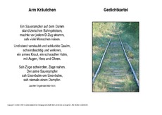 Arm-Kräutchen-Ringelnatz.pdf